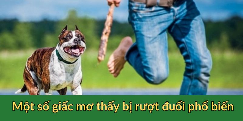 Một số giấc mơ thấy mình bị rượt đuổi phổ biến