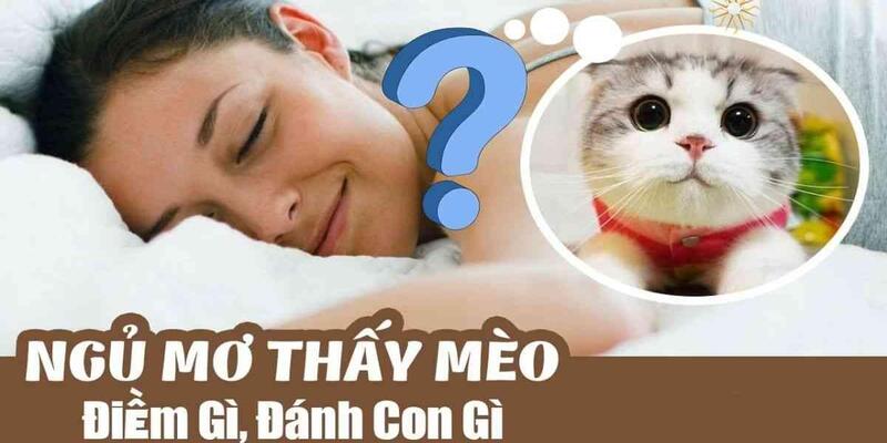 Ý nghĩa thực sự của việc nằm mơ thấy mèo trong năm 2024