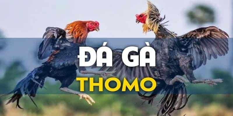 Các thể loại có mặt trong đá gà thomo