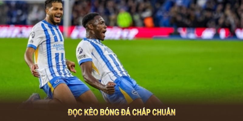 Đọc kèo bóng đá chấp chuẩn để tối ưu lợi nhuận cược