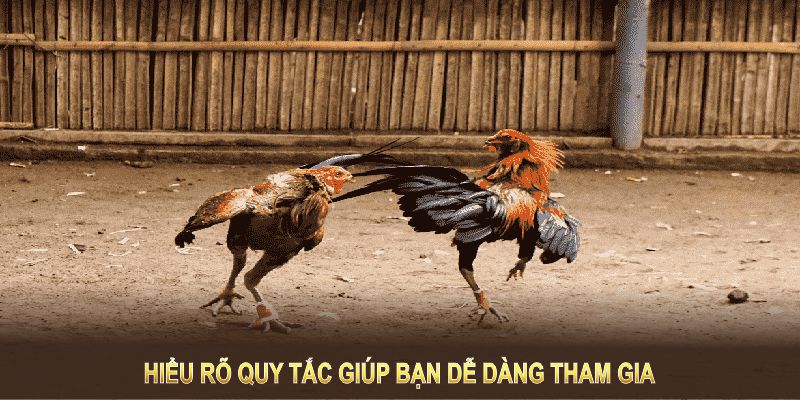 Hiểu rõ quy tắc giúp bạn dễ dàng tham gia đá gà cựa dao hơn