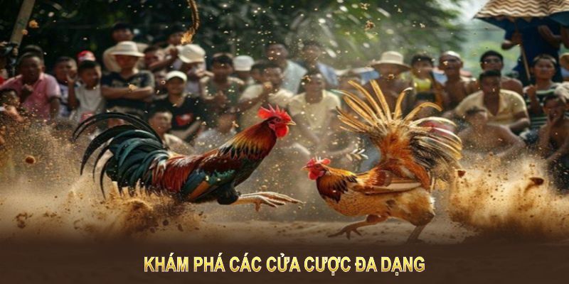 Khám phá các cửa cược đa dạng và cơ hội thắng lớn khi tham gia