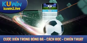 Cược Xiên Trong Bóng Đá: Khái Niệm, Cách Đọc Và Chiến Thuật