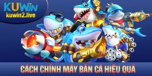 Cách Chỉnh Máy Bắn Cá Hiệu Quả Bạn Nên Nắm Rõ
